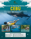 CEBU PACKAGE